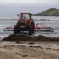 Llevábamos años buscando cómo eliminar el alga invasora de Cádiz. Al final la mejor solución no era eliminarla, sino convertirla en energía