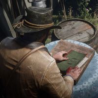 Cómo conseguir el libro de cuentas en Red Dead Redemption 2 
